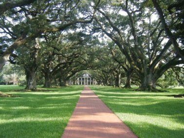 Oak Alley